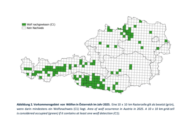 Foto: Österreichzentrum Bär, Wolf, Luchs