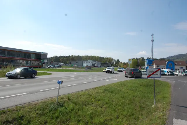 Foto: Dietmar Hammerl