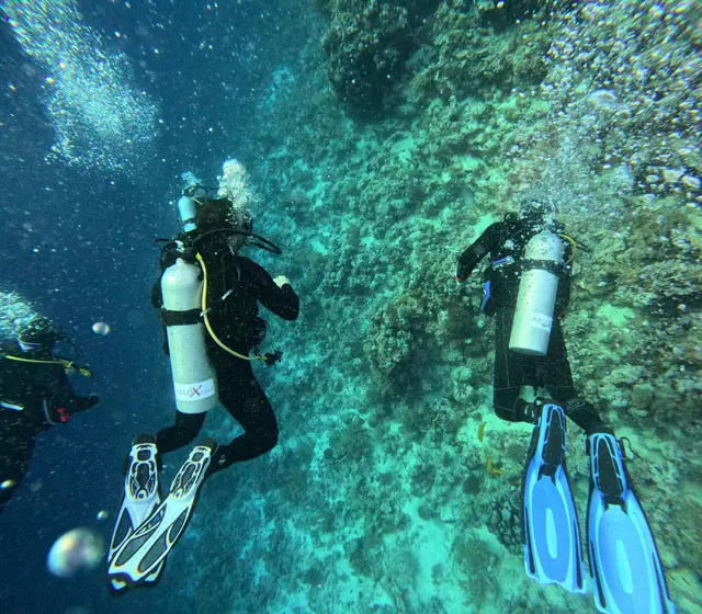 Foto: TSV Blackdivers Austria