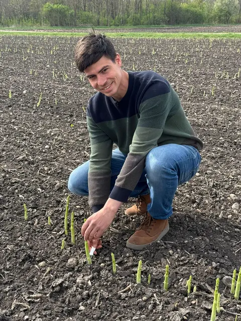 Spargelbauer Kevin Graf aus Halbturn konnte am Mittwoch erstmalig seinen Grünspargel stechen.  | Foto: Kevin Graf