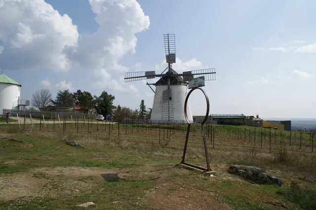 Das erste große Projekt war 2024 der Dreh über die Retzer Windmühle. | Foto: Alexandra Goll