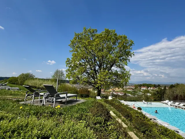 Foto: Alle Bilder von Wilfried Ledolter