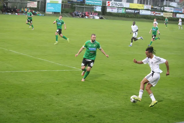 Foto: Josef Hofmüller