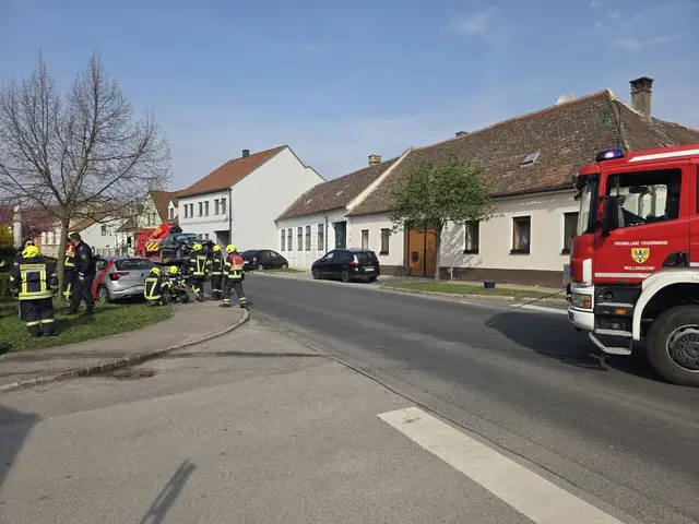Nach rund zwei Stunden konnten die Einsatzkräfte den Einsatz erfolgreich beenden. | Foto: FF Wullersdorf