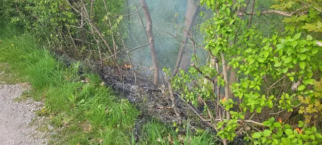 Heckenbrand in der Nähe vom Gasthof zur Post