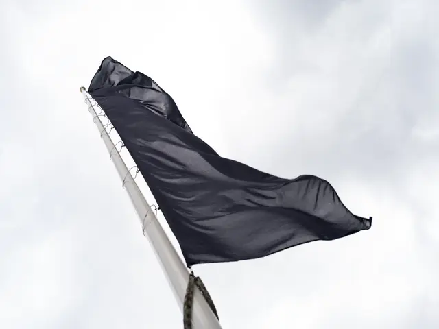 Die schwarze Fahne, die am Festspielhaus weht, dient als sichtbares Zeichen der Trauer um Heinrich Wiesmüller. | Foto: Valentina Marinelić/MeinBezirk