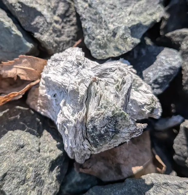 Asbestbrocken | Foto: Greenpeace