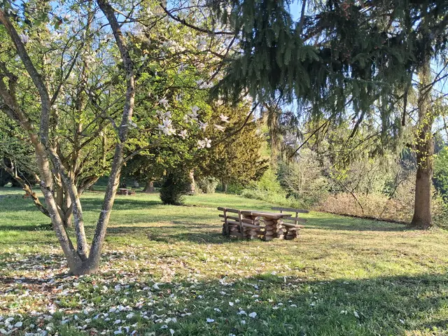 Wir verlassen den Schlossbereich und marschieren erst Mal der Straße entlang | Foto: Gold Michaela