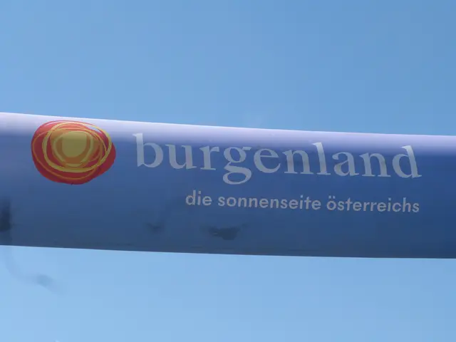 Foto: Vanessa Wittmann
