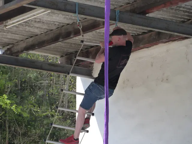 Foto: Vanessa Wittmann