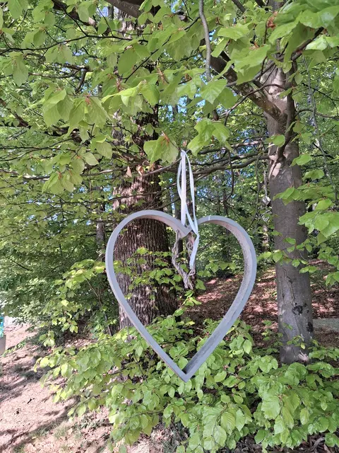 Nette Deko am Baum 😍 | Foto: Gold Michaela