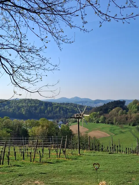 Blick auf die Gleichenberger Kogel | Foto: Gold Michaela