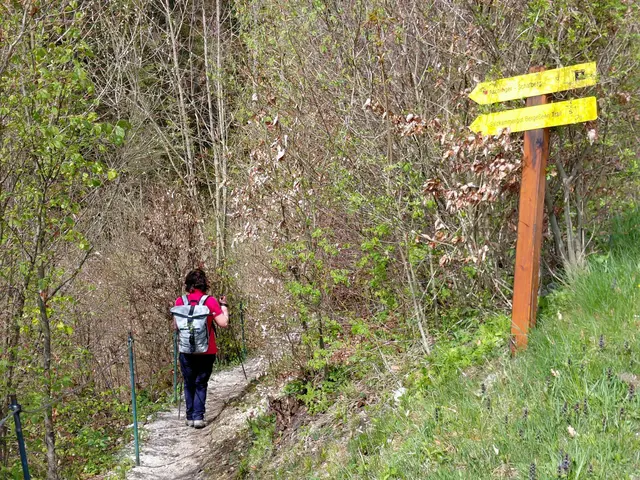 Weg zur Jausenstation Aschinger  | Foto: H.Bachinger