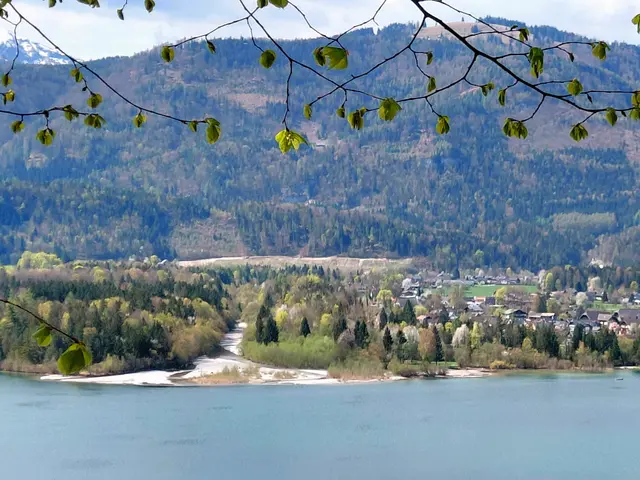 Blick auf das gegenüber liegende Ufer  | Foto: H.Bachinger