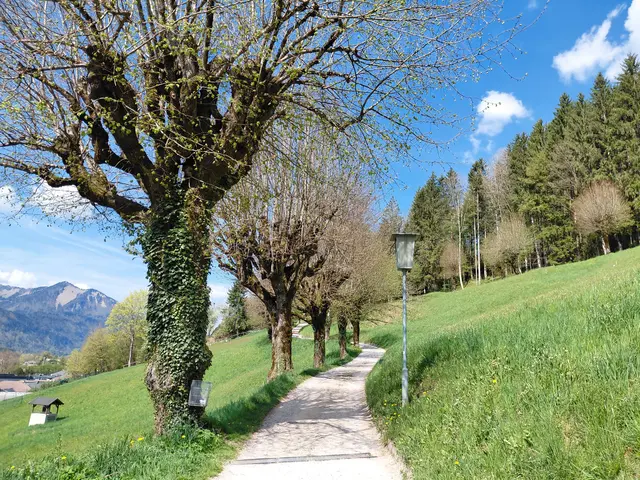 Kalvarienberg  | Foto: H.Bachinger