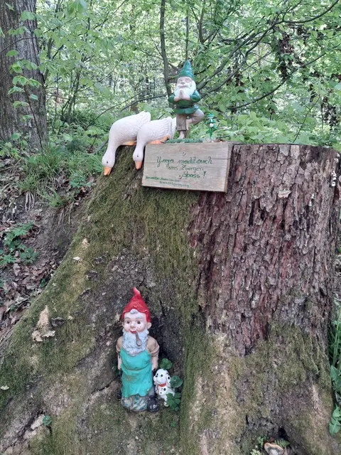 So kleine Szenerien versüßen den etwas steilen Waldweg | Foto: Gold Michaela