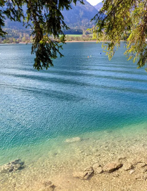 Karibik Flair  | Foto: H.Bachinger