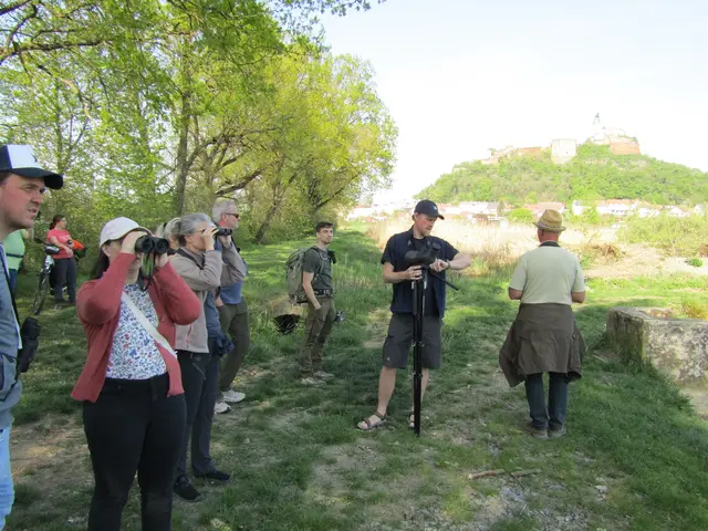 Vogelschauen an den Güssinger Teichen