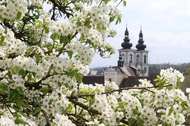 Postkartenmotive bei den heimischen Klöstern