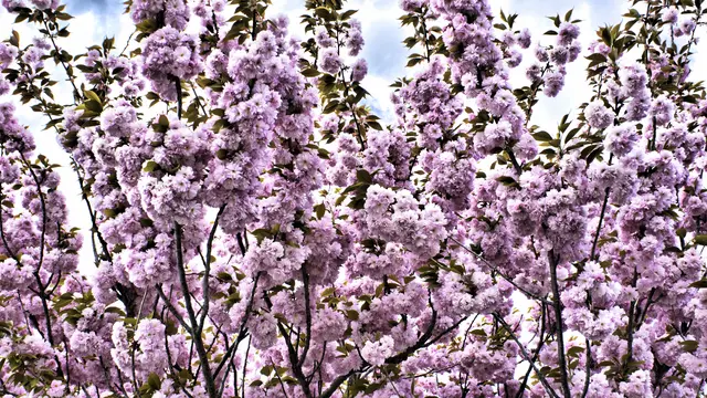 Foto: Markus Achleitner