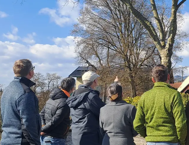 Der Workshop "Baumsicherheitsmanagement" beinhaltete Theorie und Praxis. Ziel ist es, dass Bäume nicht zu früh gefällt werden, sondern Risiken erkannt und behandelt werden, um Bäume zu erhalten. | Foto: KLAR! Südkärnten