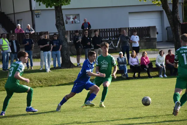 Foto: MeinBezirk/Michael Strini