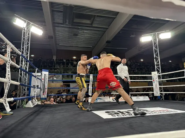 Historische Boxnacht: EM-Titel für Österreich