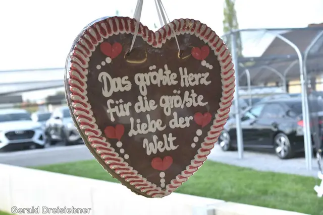 Foto: Gerald Dreisiebner