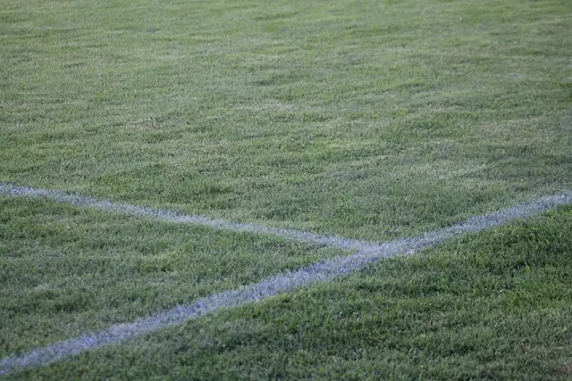 Auf einem Sportplatz kam es zu dem Hundebiss. SYMBOLFOTO. | Foto: MeinBezirk Perg