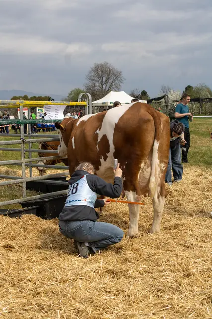 Foto: Bernice Binder