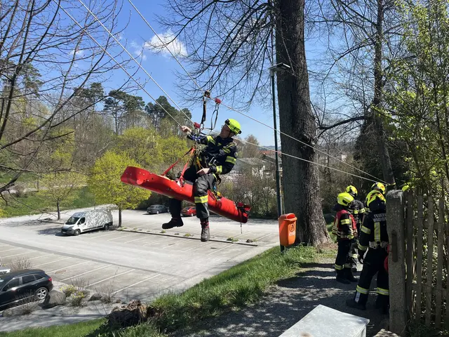 Foto: Feuerwehr Waidhofen/Thaya