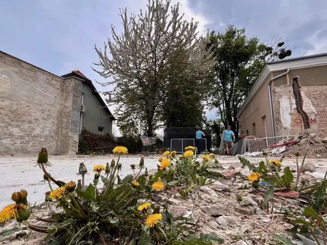 Noch ist einiges zu tun, bis das Papageienschutzhaus im Sommer offiziell eröffnen kann.  | Foto: ARGE Papageienschutz