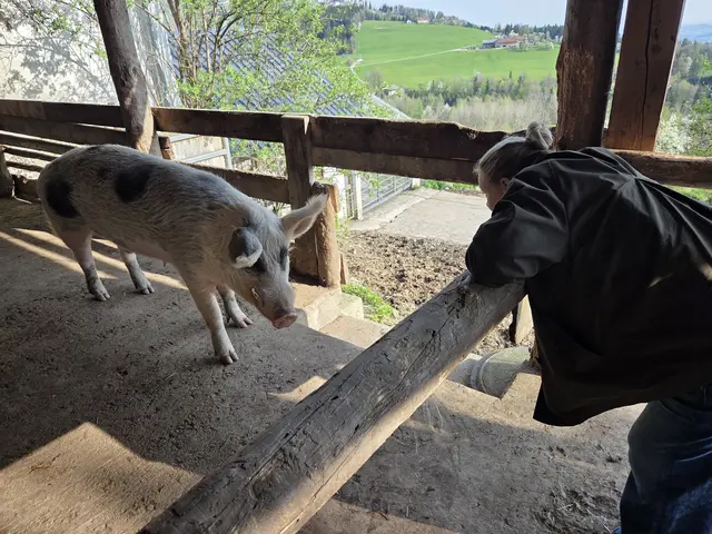 Foto: Tierparadies Schabenreith/Hofner
