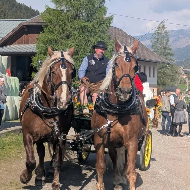 Fest unterstreicht Bedeutung der Pferdewirtschaft und vereint Region