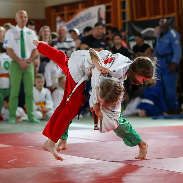 Alle Teilnehmenden haben vollen Einsatz und schönes Judo gezeigt. | Foto: Judounion Klosterneuburg/Andreas Schiffleitner 