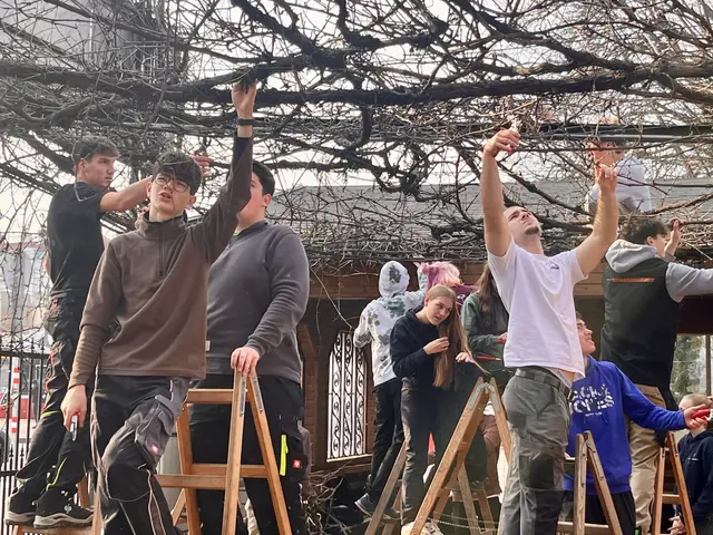 Schülerinnen und Schüler der Höheren Bundeslehranstalt für Wein- und Obstbau unterstützten beim Zuschneiden der Weinreben.  | Foto: ARGE Papageienschutz