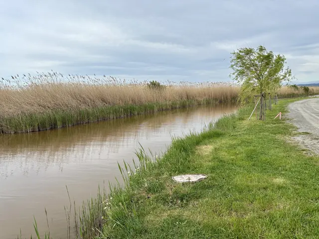 Die für den Schiffsverkehr wichtigen Kanäle der Seegemeinden standen auch heuer wieder im Fokus.  | Foto: Stefan Schneider/MeinBezirk