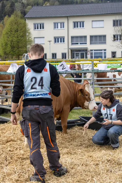 Foto: Bernice Binder