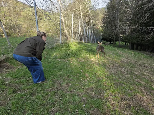 Foto: Tierparadies Schabenreith/Hofner