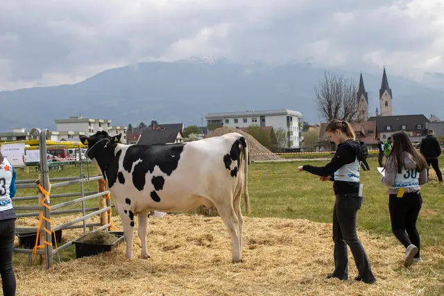 Foto: Bernice Binder