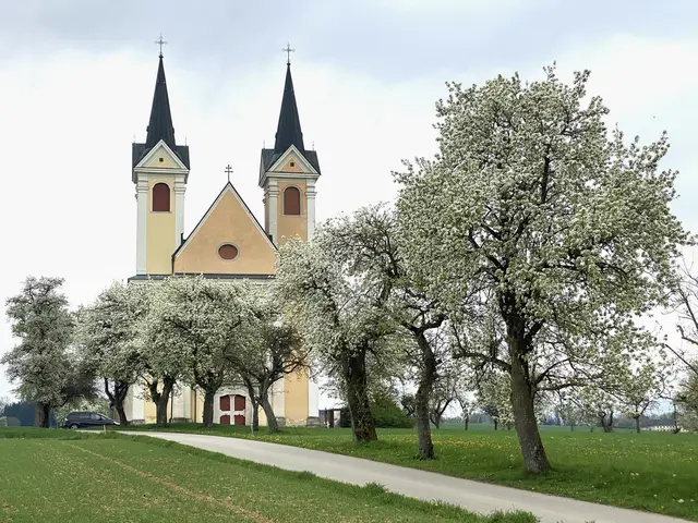 Blütenpracht auch in Heiligenkreuz. | Foto: Gerhard Hütmeyer