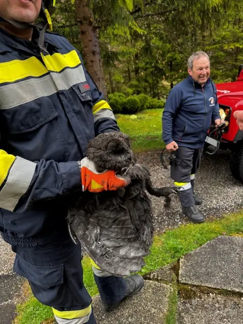Zu einem tierischen Einsatz mussten die Mariazeller Florianijünger am vergangenen Sonntag ausrücken. | Foto: FF Mariazell/Zach