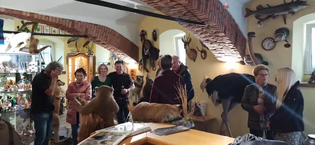 Oberdrauburg beherbergt über 1000 präparierte Vögel