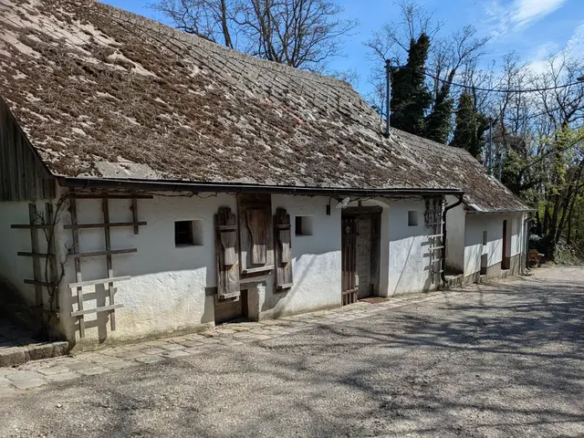 Im Zentrum der Tour standen die legendären Kellergassen – echte Kulturschätze des Weinviertels. | Foto: Hermann Hiebner