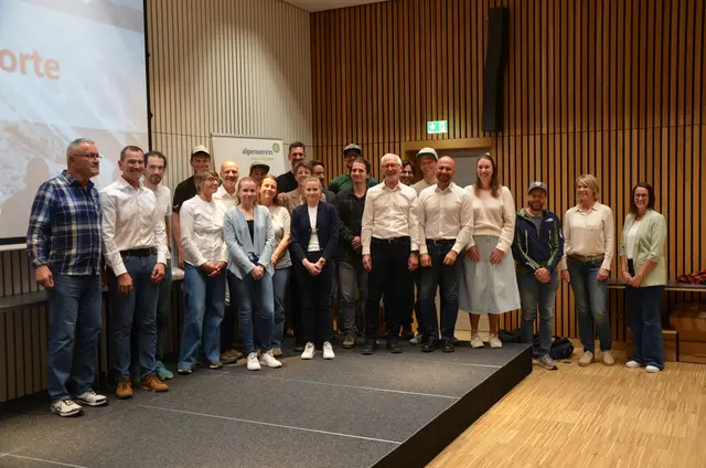 Große Projekte im Fokus