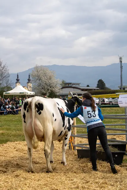 Foto: Bernice Binder