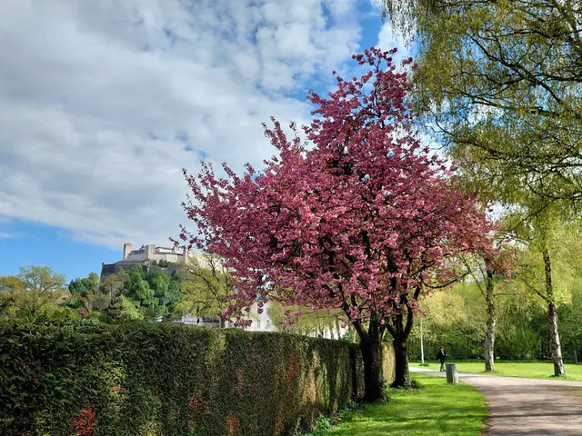 Foto: H.Bachinger