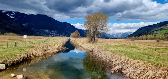 ...am Ablauf des Zeller See