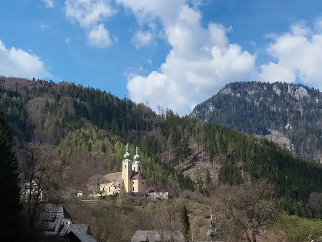 Stöbern, Finden und Kaufen beim Fetzenmarkt