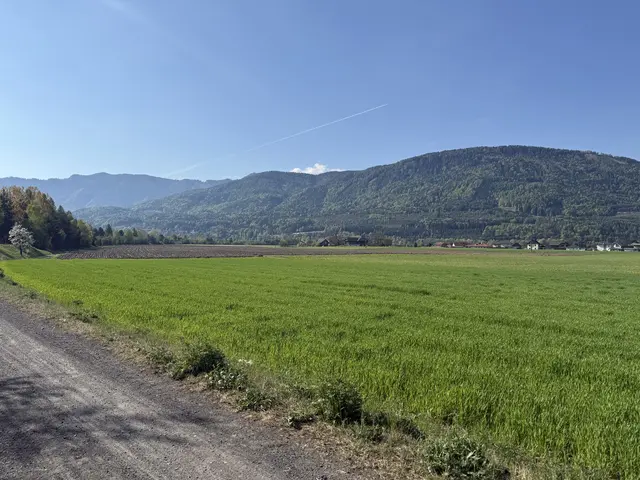 Foto: MeinBezirk.at/Sophia Gasperschitz